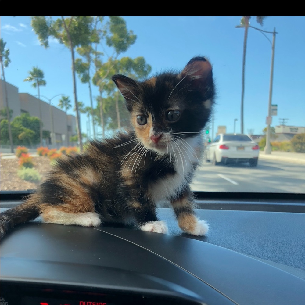 Meet your Posher, Marina